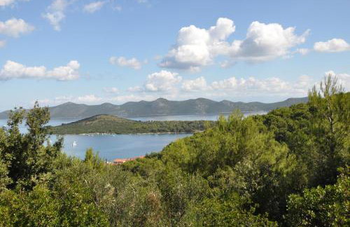 Apartmani Komoseva - Foto 21