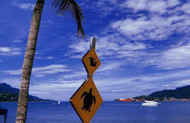 Magnífica Costeira - Foto 57