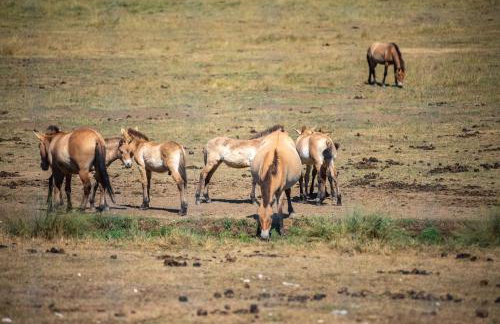 Panorama des Cimes - T3 avec Sauna privé et Vue imprenable sur la Station - Foto 27