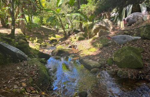 Casa em Friburgo com piscina, lareira suíte & quarto ATENCAO SABADO DIA 18 DE ABRIL TERA FESTA NA CHACARA - Foto 38