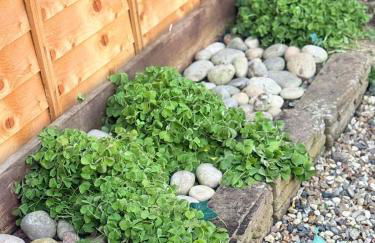 Heartfelt Cambridge Home - Foto 34