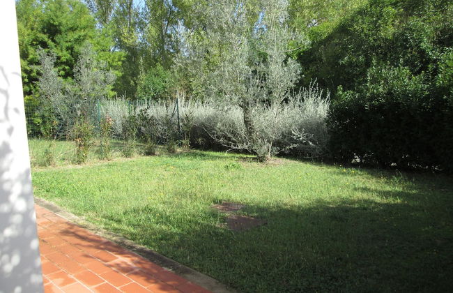 Fattoria La Steccaia - Foto 34