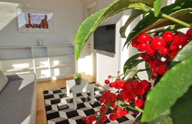 Apartments Egis Koper - Foto 35