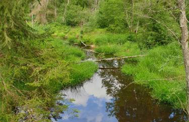 Haus Bergblick - Foto 55