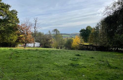 Auszeit auf dem KulturGut Hirtscheid - Foto 15