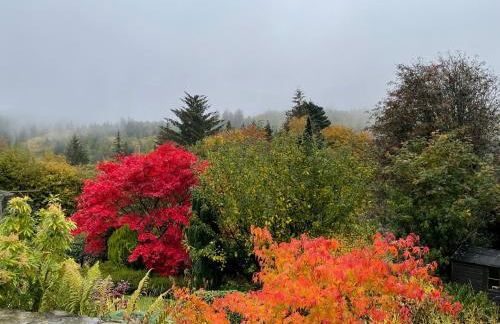 One bed cosy Highland cottage near Beauly - Foto 13