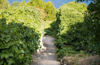 Mošćenice - Foto 38