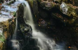 Rustic Chic Alabama Cabin w Loft Fire Pit Pet Friendly Fenced Yard Lake Guntersville - Lucky Lodge - Foto 79