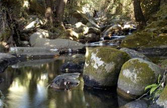 Casa Rural ARBEQUINA & Esquí La Covatilla - Foto 39