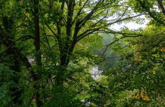 Chez Manou, appt spacieux et élégant proche mer - Foto 39