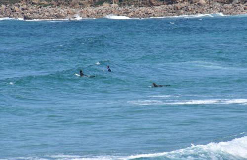 Family House - Breath Taking Views Over Mounts Bay - Photo 43