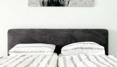 Modernes Apartment mit Stil in City Lage - Foto 2