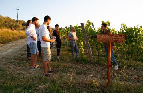 L'Agriturismo di Montalbino - Foto 47
