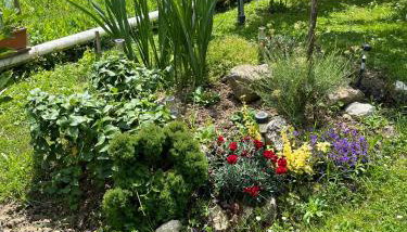 Studio apartman Anita - Foto 5