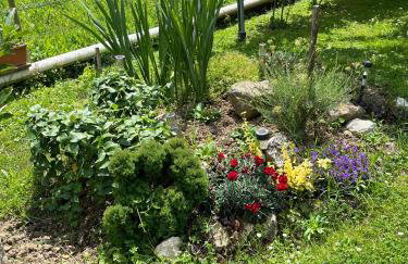 Studio apartman Anita - Foto 5