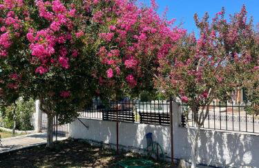 Aspasias Traditional Studio - Foto 5