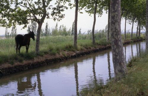 Apartament Dertosa - Foto 36