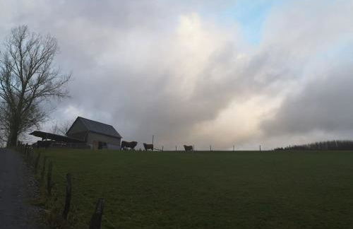 Gemütliche Wohnung Rothaarsteig Ski Sauna Ruhrtal Green Hill - Foto 3