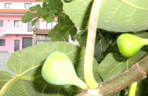 Quinta das Lindas 2 - Foto 42