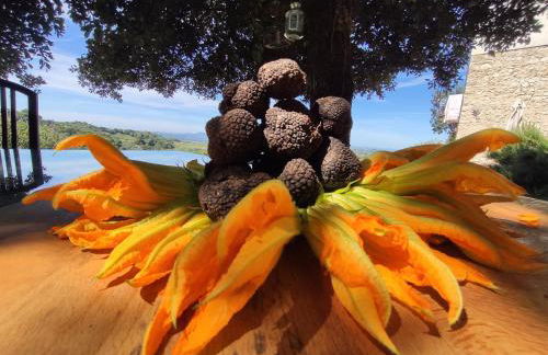 La casa del tartufo - Foto 3