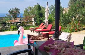 Country Villa Atheras - Photo 16