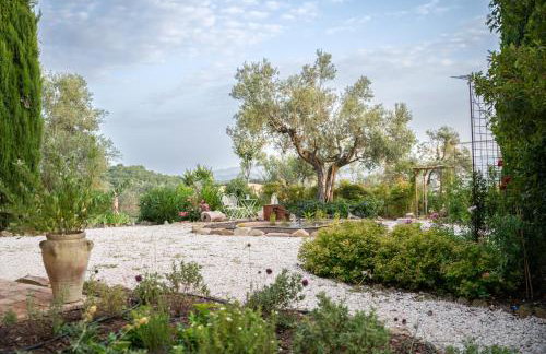 Villa in Agello - Photo 59