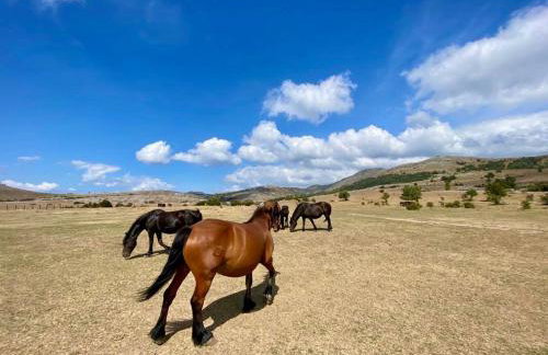 CASA MONTE - Foto 67