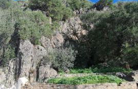 Entre Vistas - Foto 69