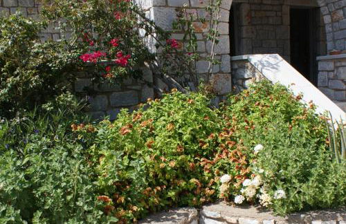 Thelea Mani - Foto 31