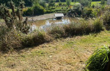 Swallows Return - Foto 33