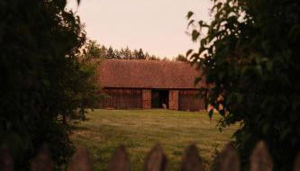 Sztuka Lasu - Foto 5