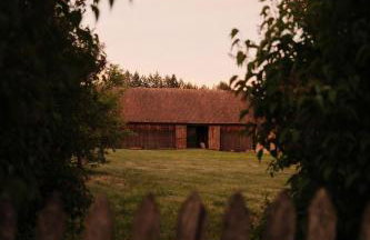 Sztuka Lasu - Foto 5