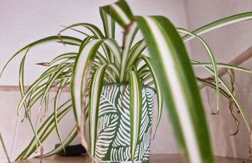 Balcony Lake View Apartment - Foto 48