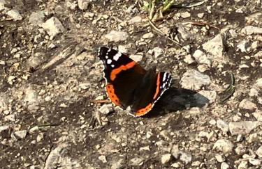 Ferienwohnung Aussicht, Monheimer Alb, Altmühltal - Foto 12