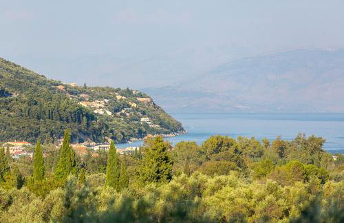 Titania il giardino segreto di prospero - Foto 35