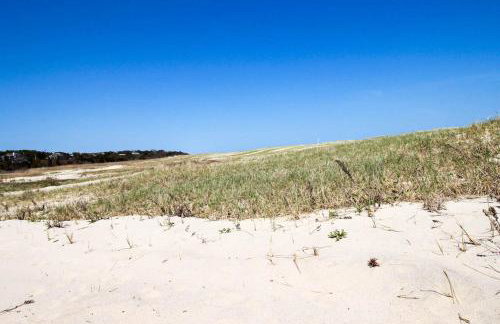Nauset Beach Buddy - Photo 29