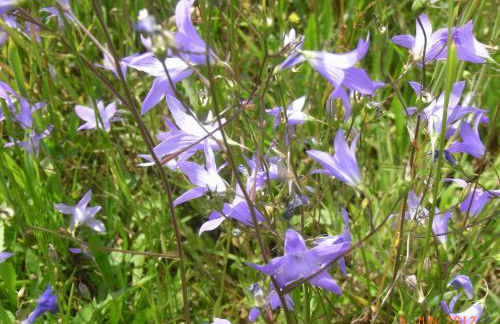 Ferienwohnung Kunze - Foto 18