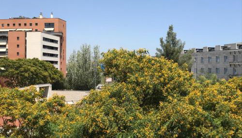 Barceló Cornellà - Foto 4