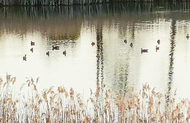 Oaza spokoju - Walendów - Foto 14