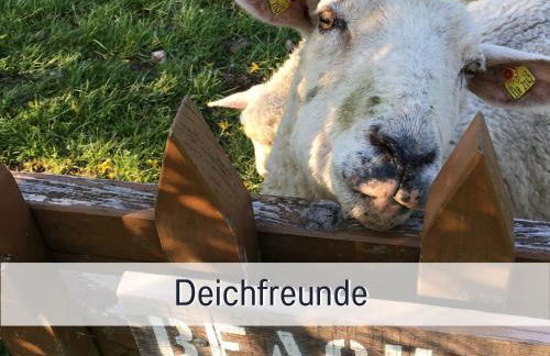 Elbe Boardinghouse - Foto 69