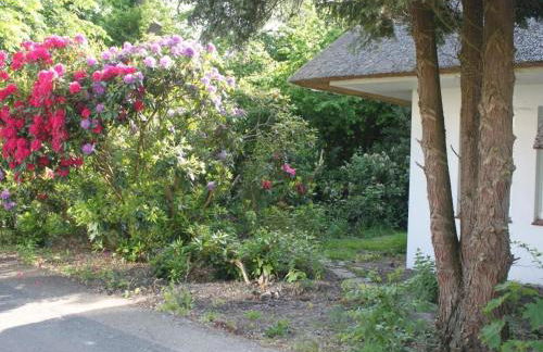 Holiday Home in Stollhamm mit Großem Garten by Interhome - Foto 11