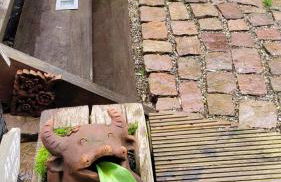 Naova Cosy Studio - Foto 25