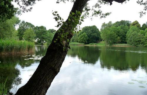 Ferienhaus beim Stechlinsee - Foto 13