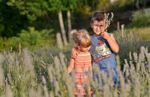 Lavanda farm apartmani - Foto 122