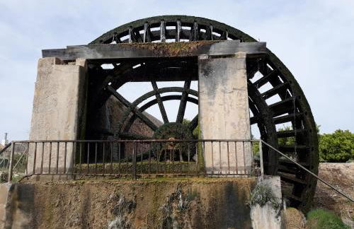 Piso Vacacional en Murcia - Foto 30