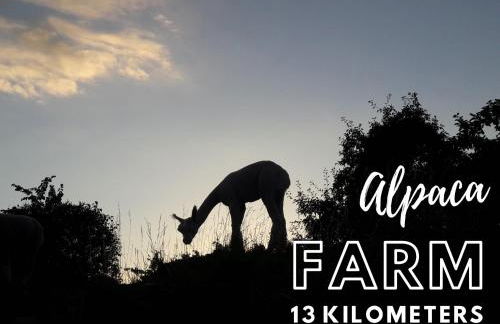 Comfycation Jena - Foto 30