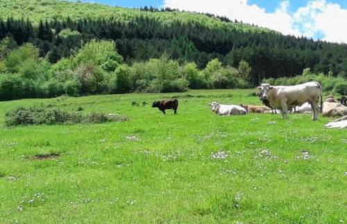 Apartamentos Turísticos Real Valle Ezcaray - Foto 97