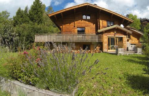 Chalet Coelacanthe - Photo 29