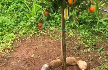 House Koula - Foto 10