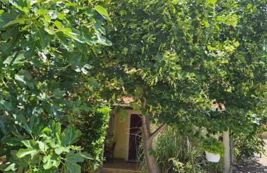 Apartmani Sanja - Foto 1